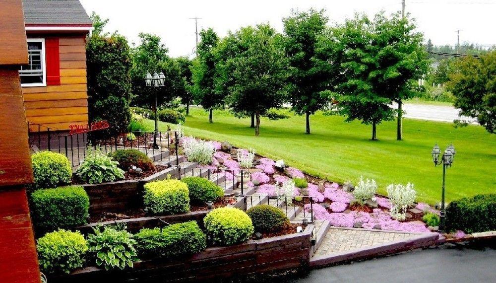 Hampton Bed And Breakfast 외부 사진