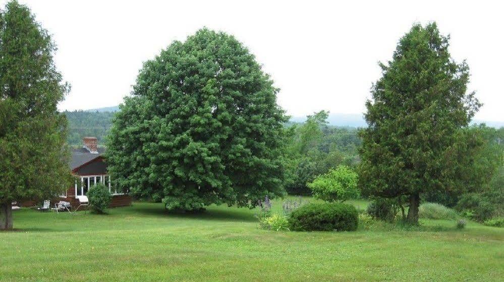 Hampton Bed And Breakfast 외부 사진